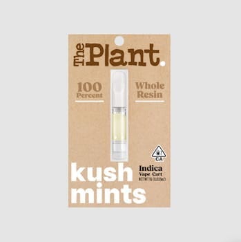 The Plant — Kush Mints