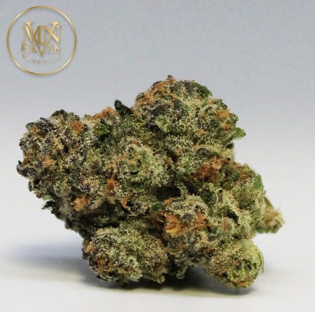 Maven - Umami Butter - 3.5g - Maven - 3.5g - $44.99 - Indoor Flowers