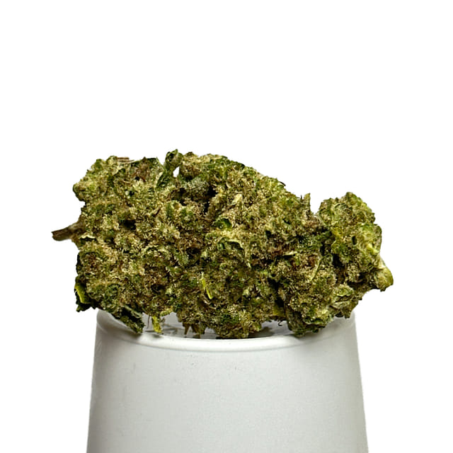 Moonland Cannabis — Grape Gas