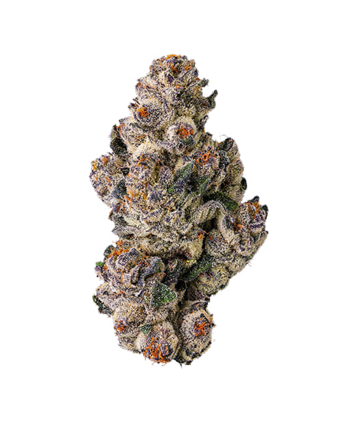 Black Lotus Smalls - Maven Genetics - Half Ounce (Smalls) - $130 - Flowers