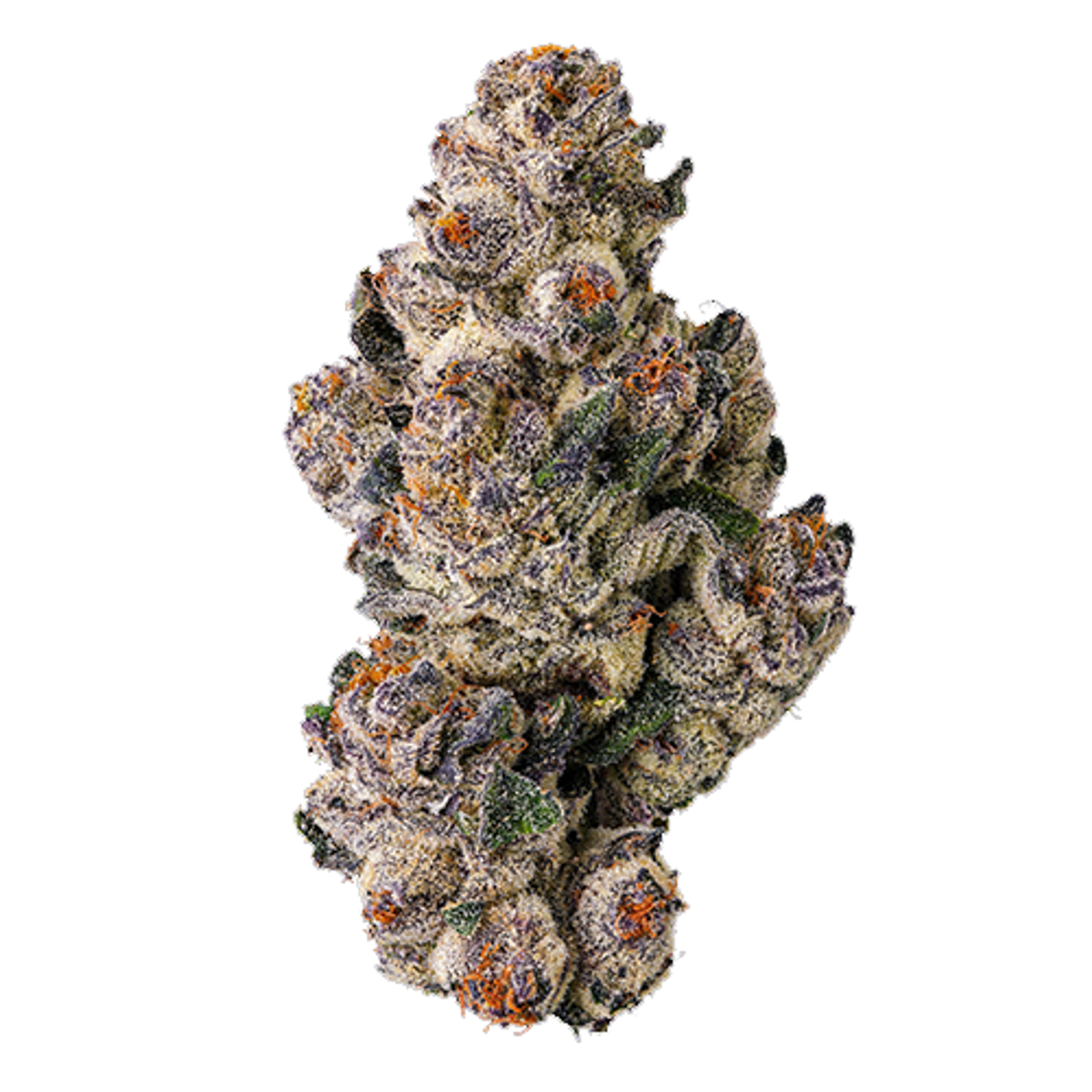 Black Lotus Smalls - Maven Genetics - Half Ounce (Smalls) - $130 - Flowers