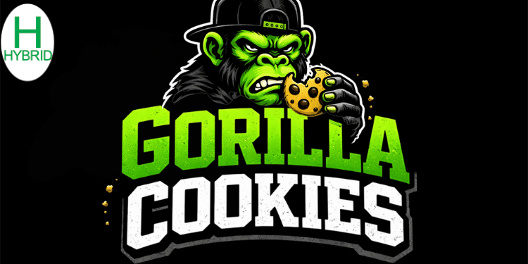 $8.20 Gorilla Cookies 1G Joint - Mecca -  - $5.92 - Pre-Rolls