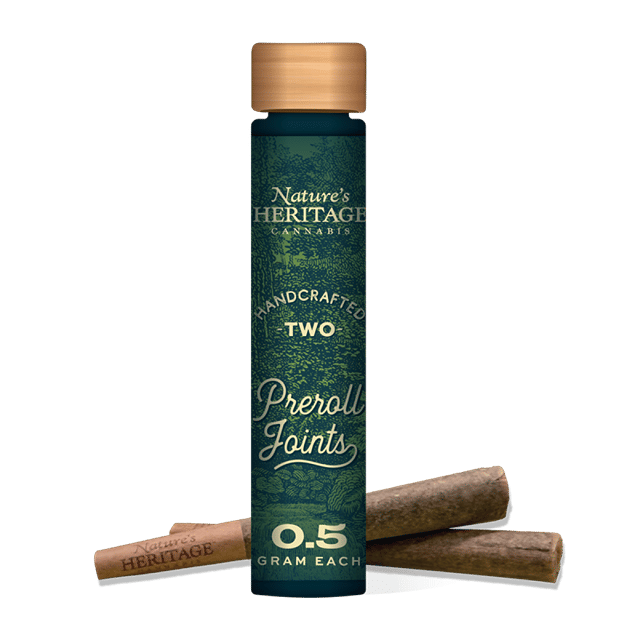 Orange Biscuits | 2 Pack