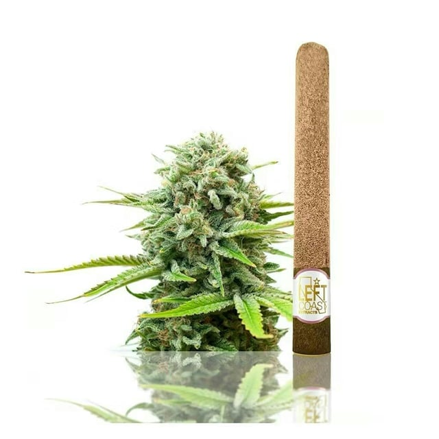 Pineapple Splash - 2g Premium Infused Blunt