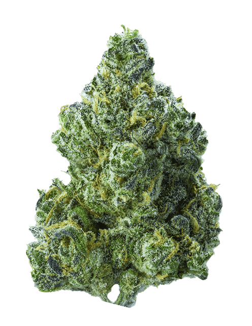Blue Dream | .5g x 2 Pre-Roll Pack