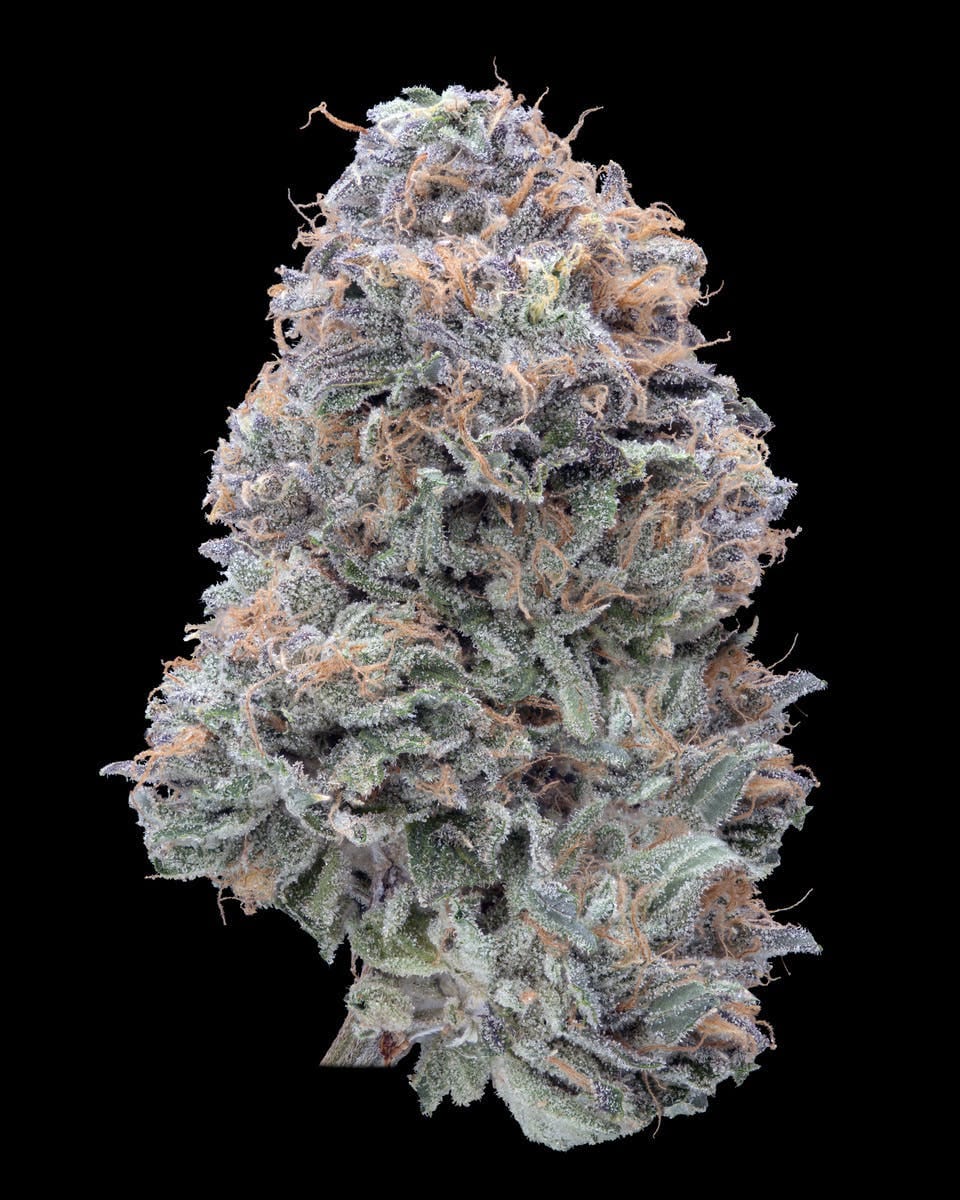 Imperial Grapefruitz 30.02% - 3.5G *SPECIAL PRICING* - Elusive - Imperial Grapefruit (H) - $48 - Exotic Eighths - Buy 8 Mix & Match get 13.5% Off PLUS $.01 Punch T1 Rosin