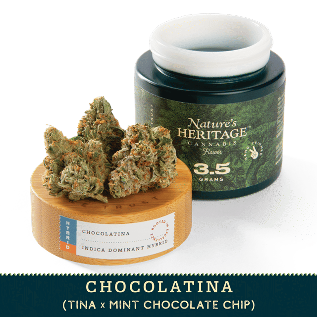 Chocolatina