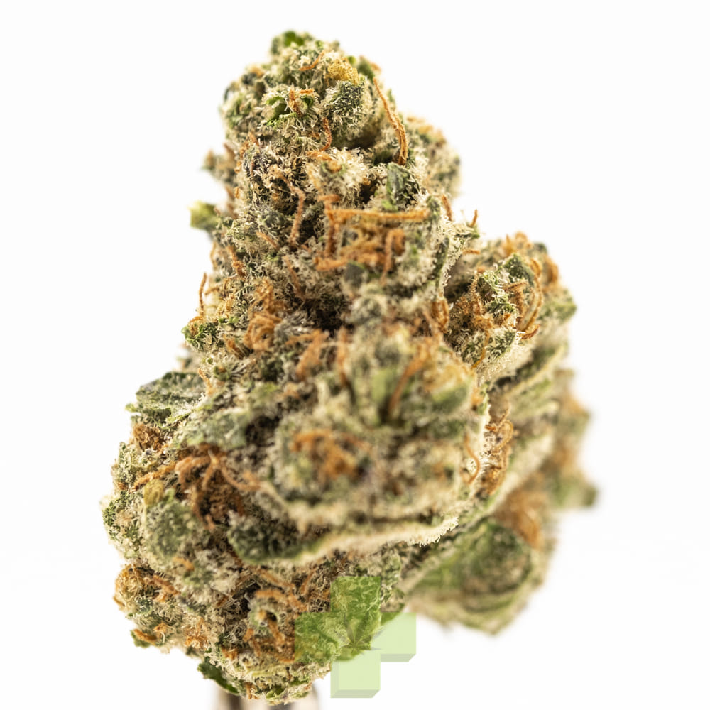 Humo — Bombon Og, Gh