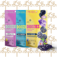 Strawberry Lime 1:1 THC:CBG - 100MG Gummies *B2G1 EVERYDAY* - Doozies - Strawberry Lime 1:1 THC:CBG (H) - $8 - Edibles