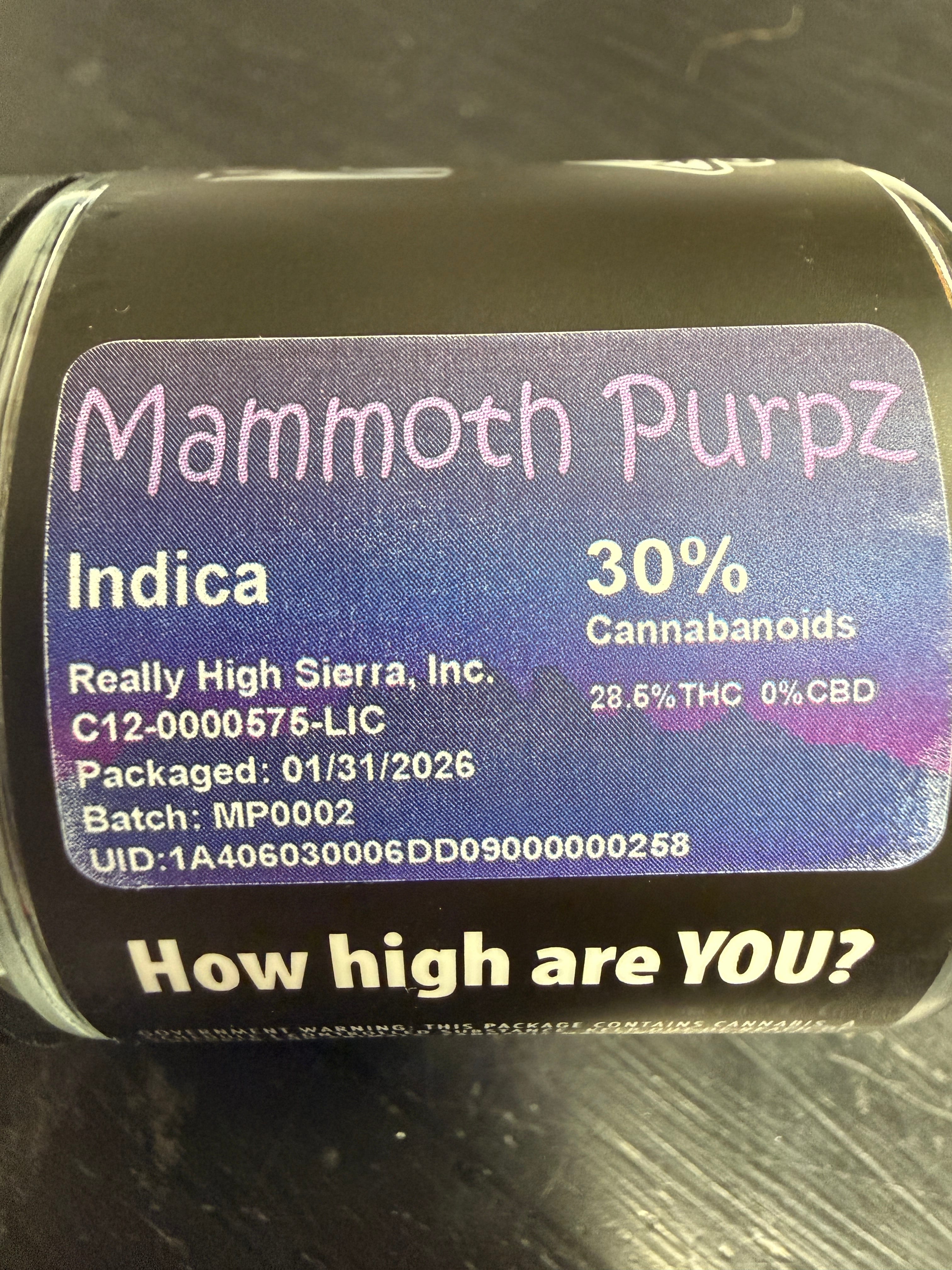 *Local* High Sierra: Mammoth Purpz - Indoor 3.5g - High Sierra -  - $55 - Indoor Flower