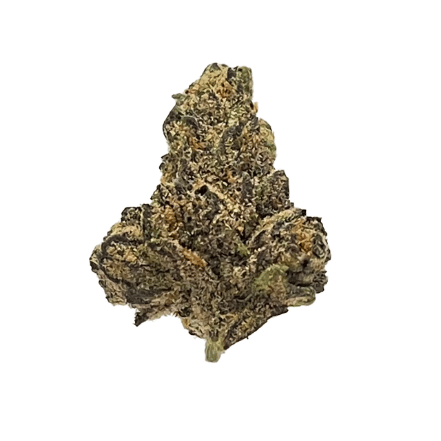 Passiflora — Gelato X2