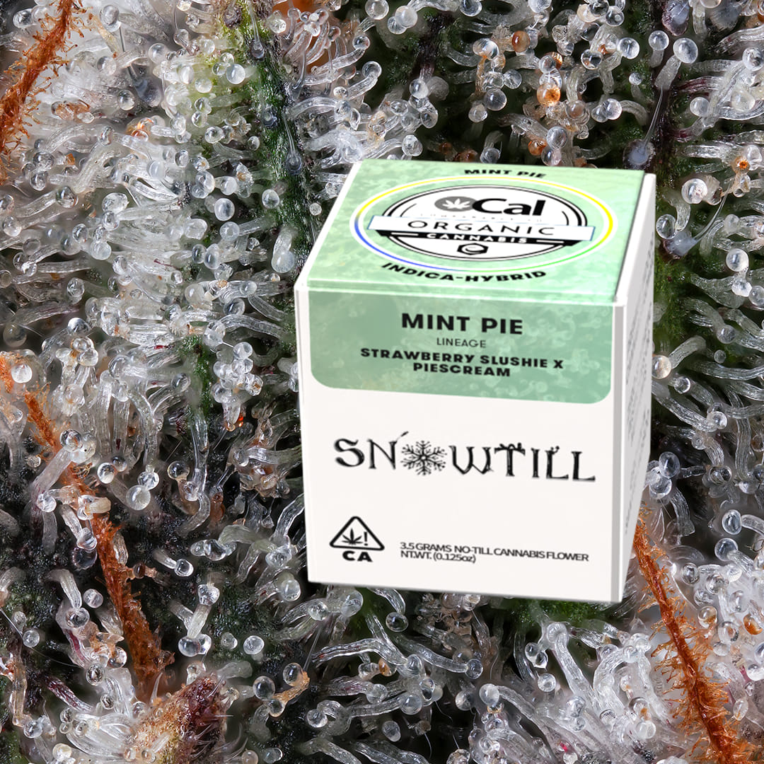 ***Mint Pie - 3.5g - Snowtill - 3.5g - Indica - $57 - Flower (Eighths)
