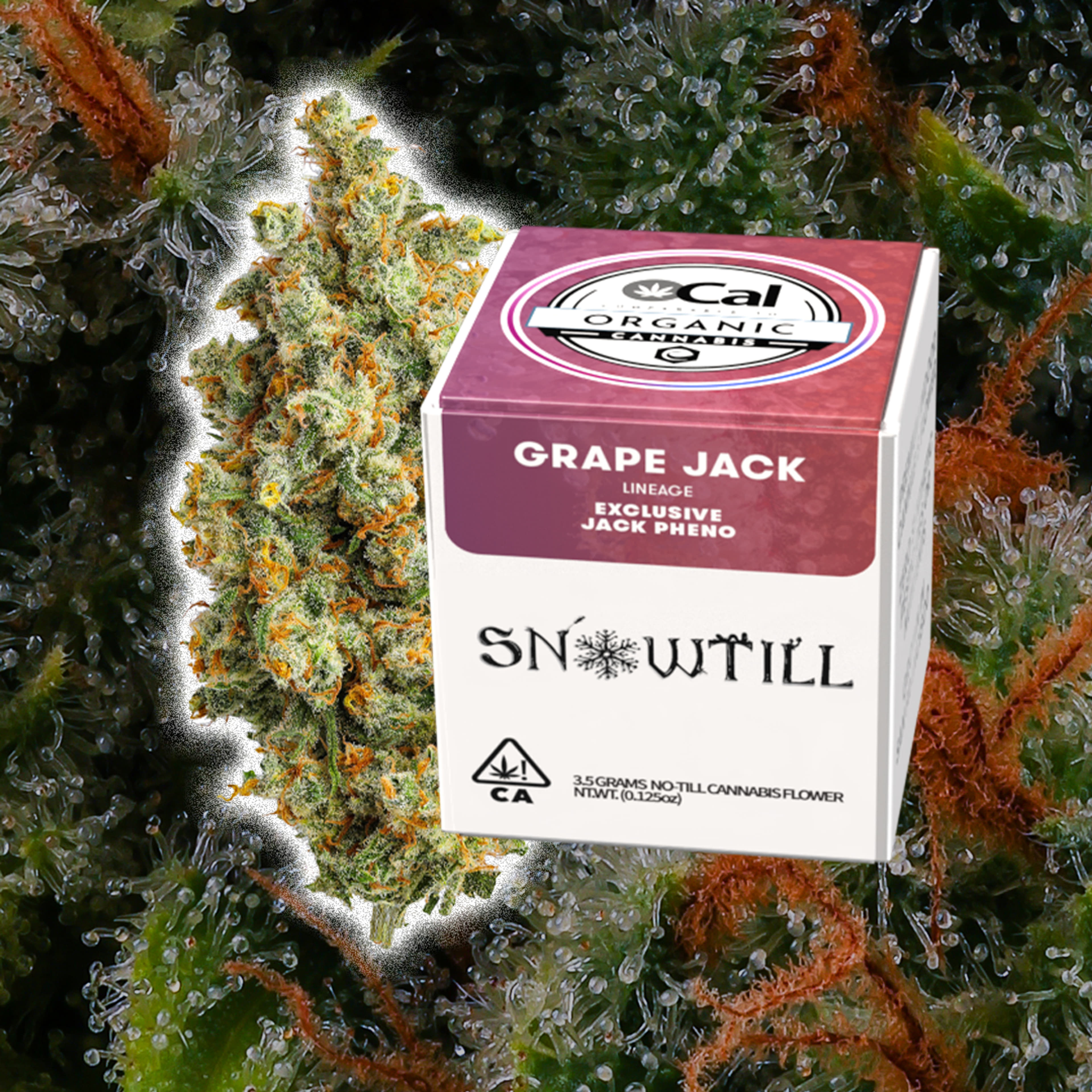 ***Grape Jack - 3.5g - Snowtill - 3.5g - Sativa - $57 - Flower (Eighths)