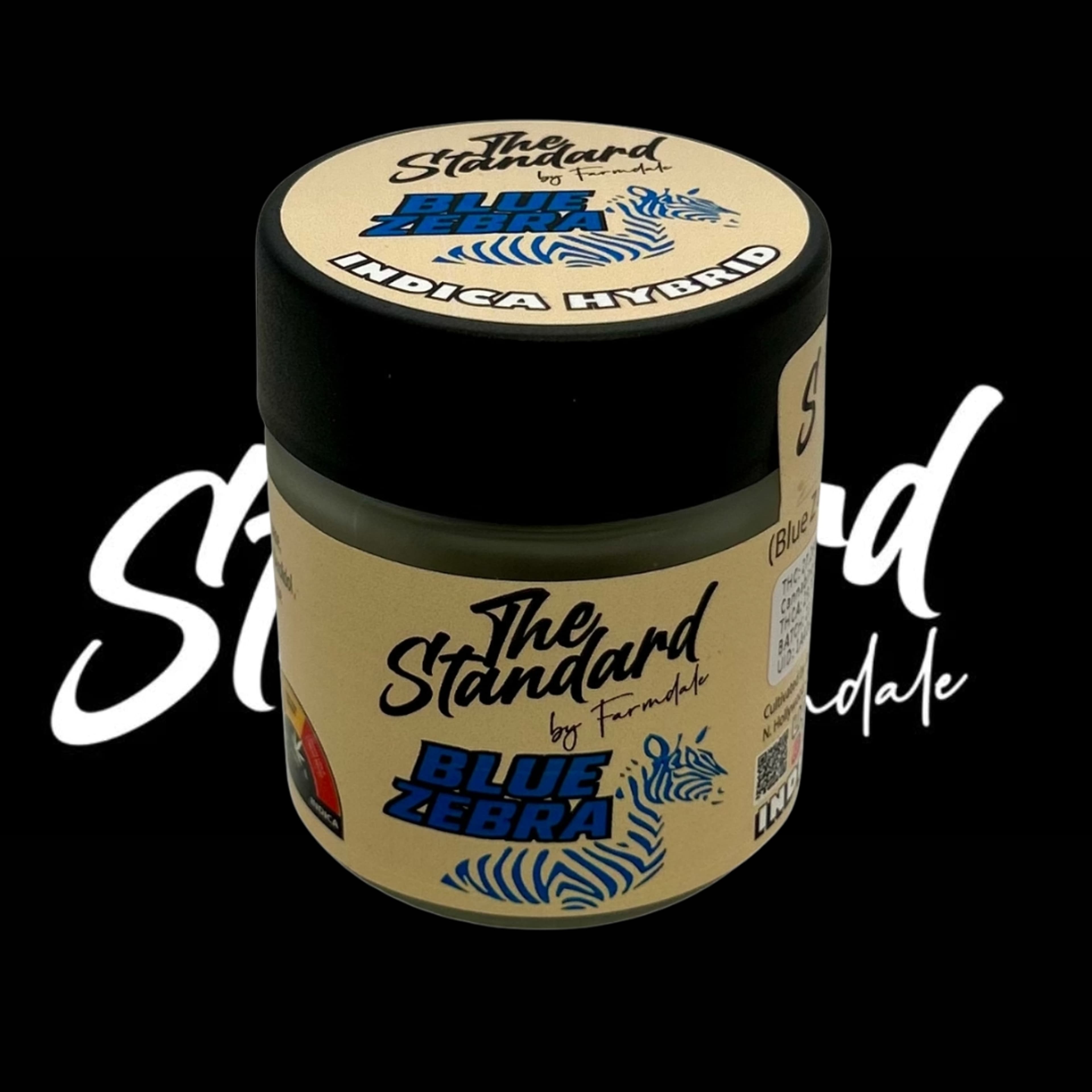 BLUE ZEBRA 3.5G - THE STANDARD - - $36.50 - Flowers