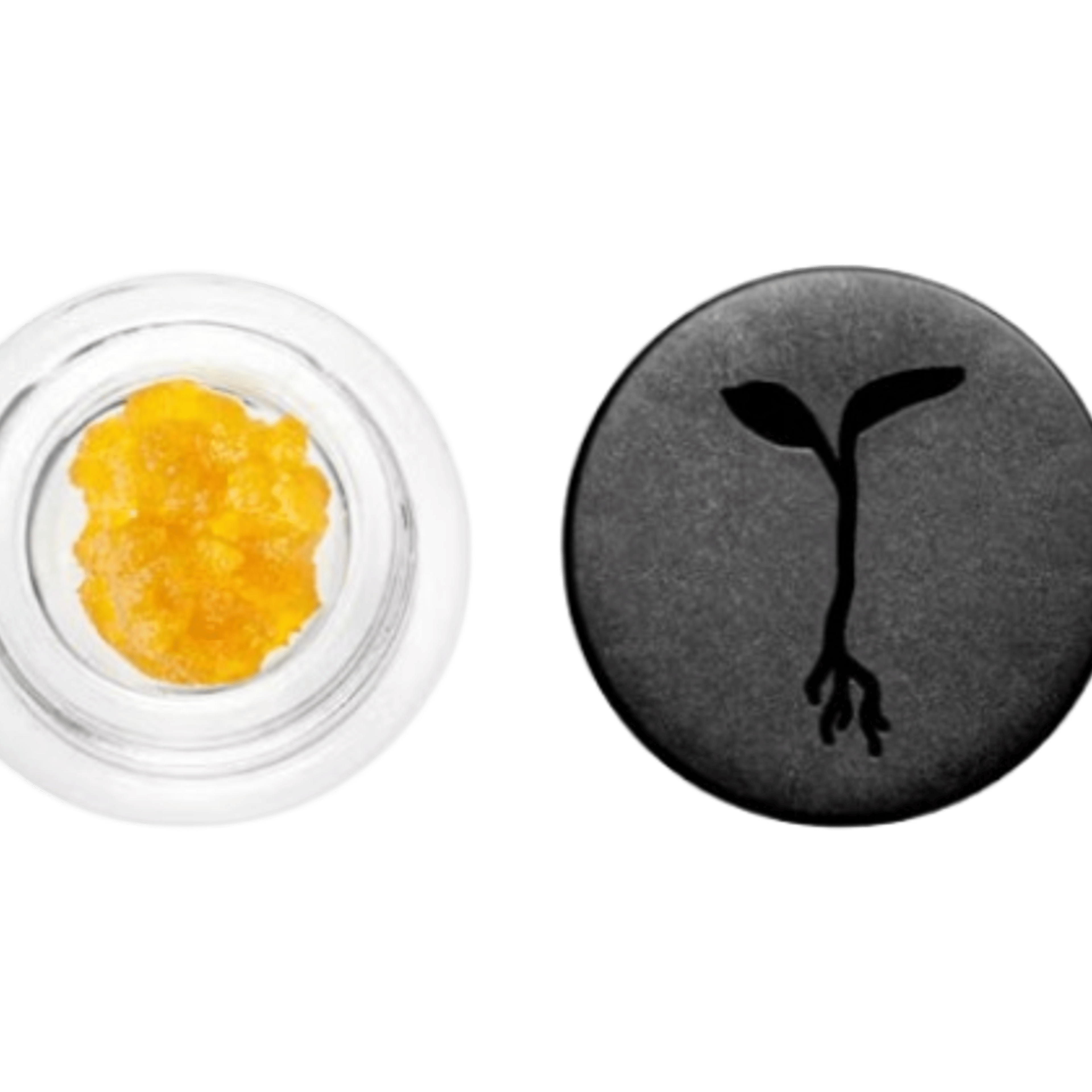OG Kush - Live Resin - Concentrates - Raw Garden - One Gram - $39.99 - Concentrates