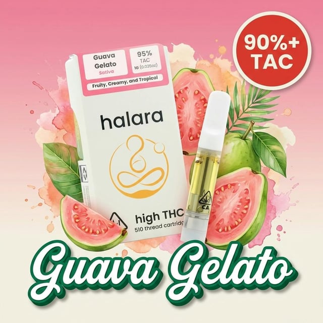 Halara: Guava Gelato