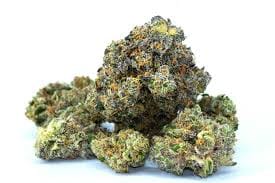 Mahalo Marshmallow 34% - 3.5G *SPECIAL PRICING* - Teds Budz - Mahalo Marshmallow (H) - $55 - Exotic Eighths - Buy 8 Mix & Match get 13.5% Off PLUS $.01 Punch T1 Rosin