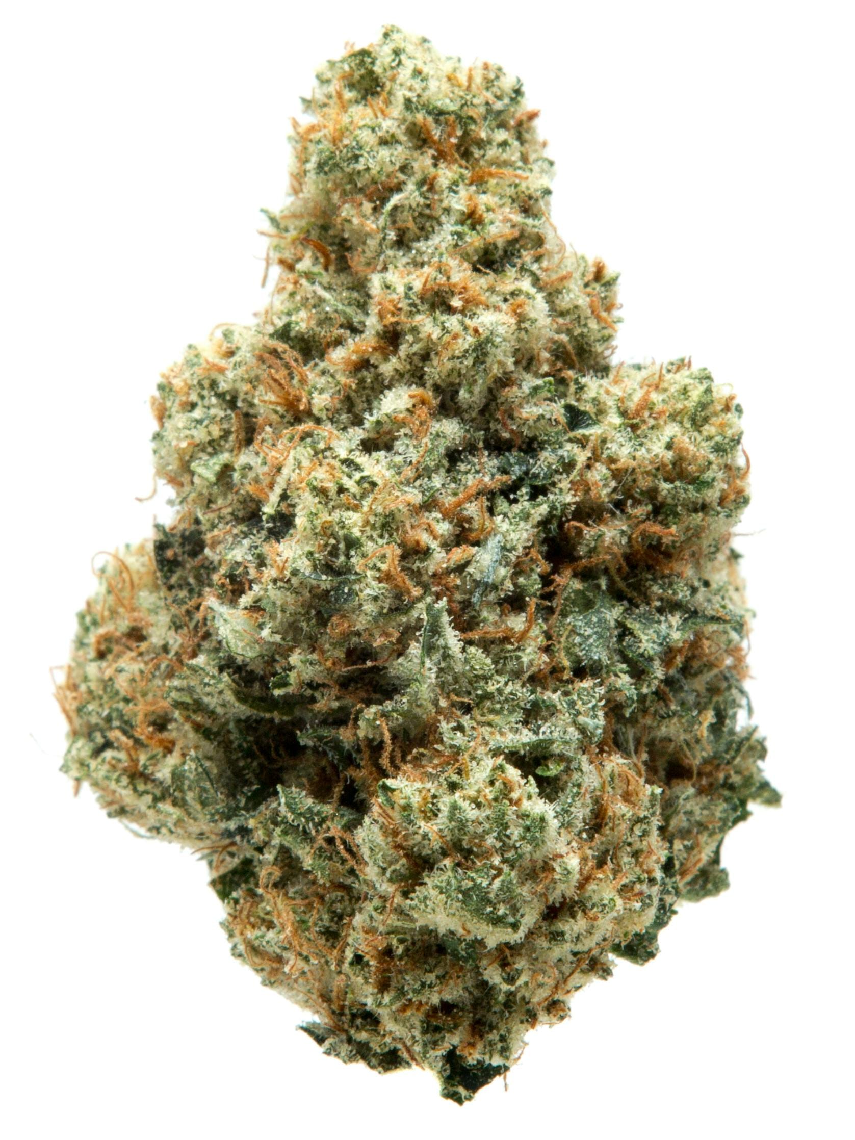 Mega Wellness OG 20.7% - 7G Smalls - Nameless Genetics - Mega Wellness OG (I) - $79.99 - Flower