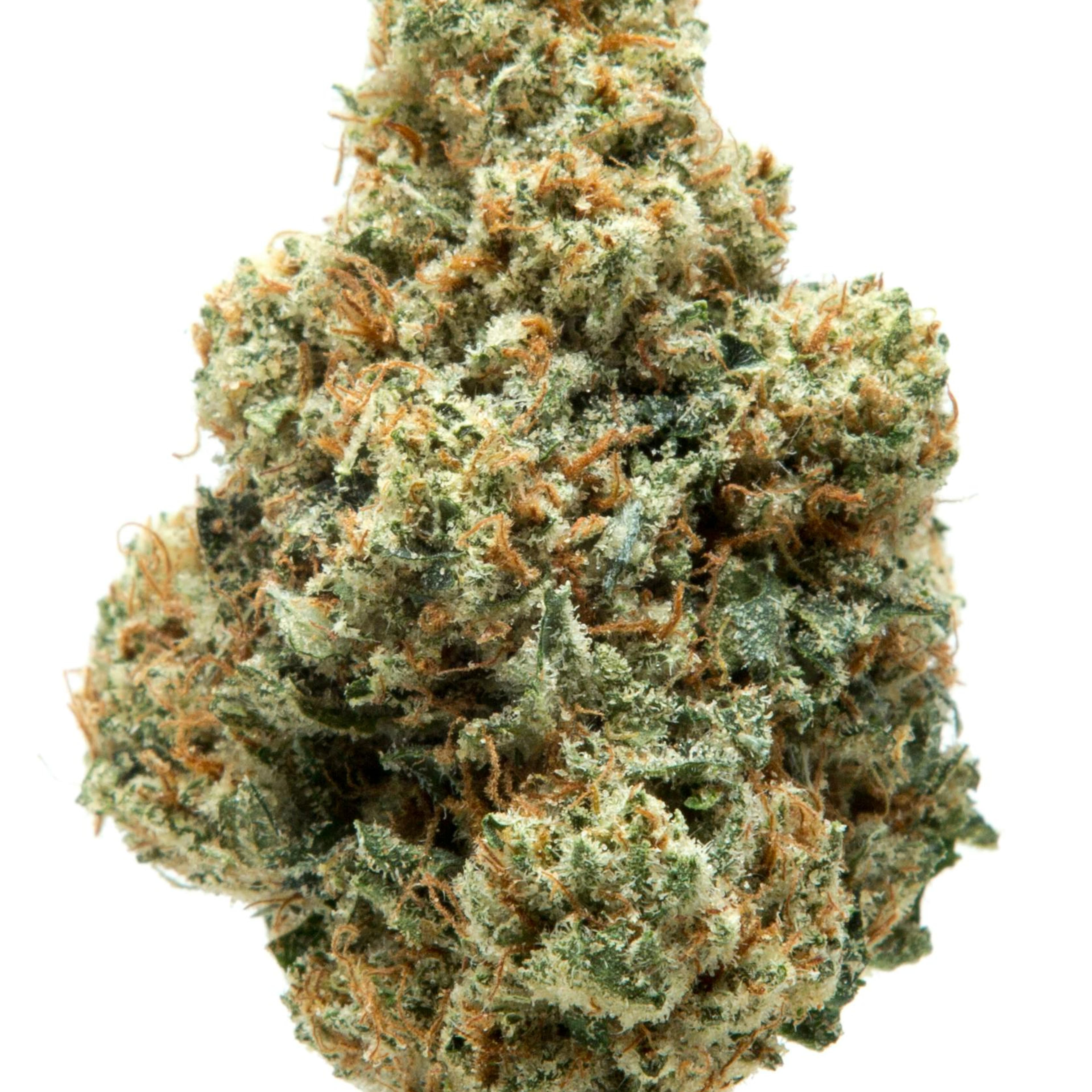 Mega Wellness OG 20.7% - 7G Smalls - Nameless Genetics - Mega Wellness OG (I) - $79.99 - Flower