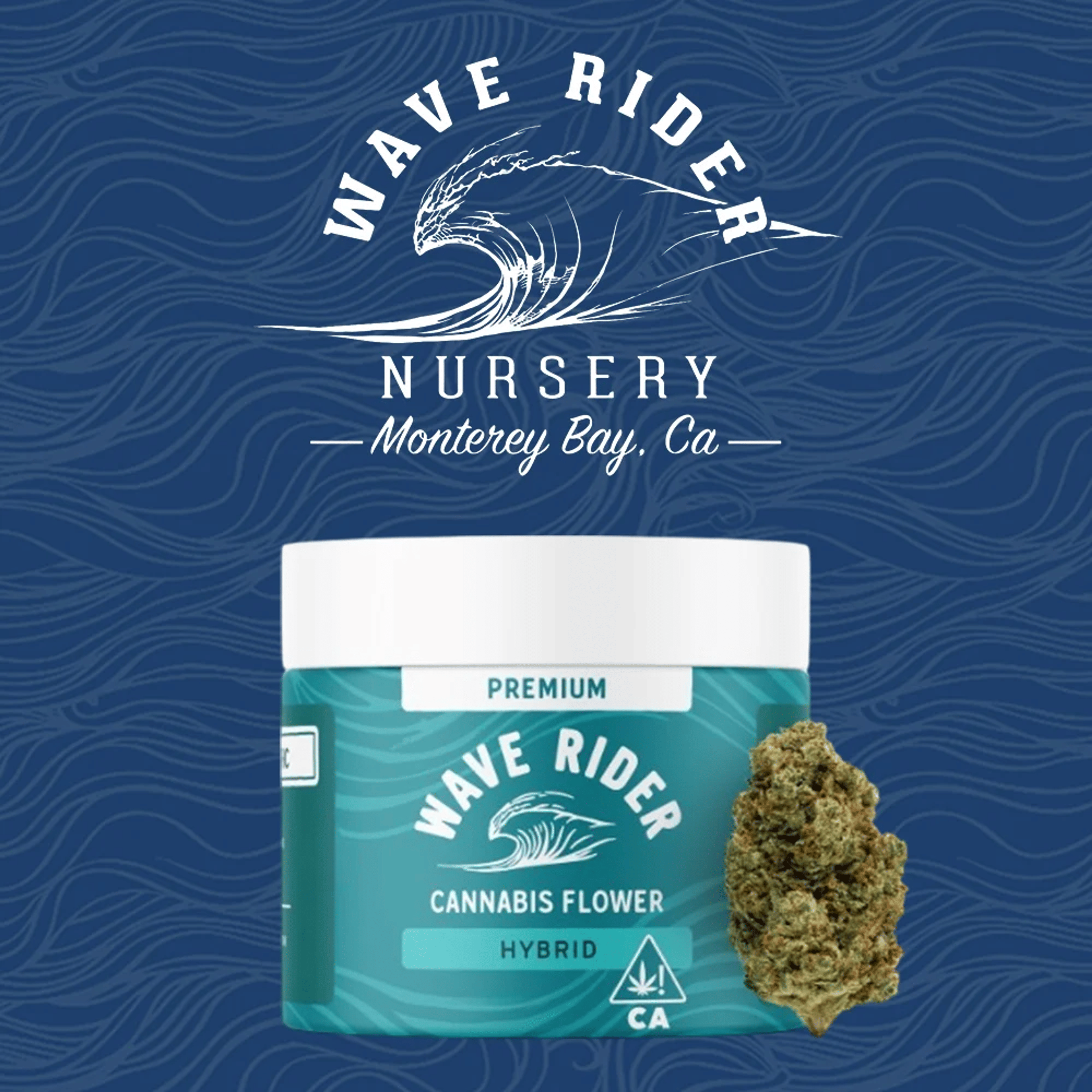 Apple Fritter 3.5g - Wave Rider - - $25 - Flower