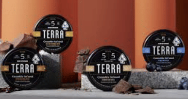 Milk Chocolate Blueberry - Terra Bites -  - $18.70 - Edible