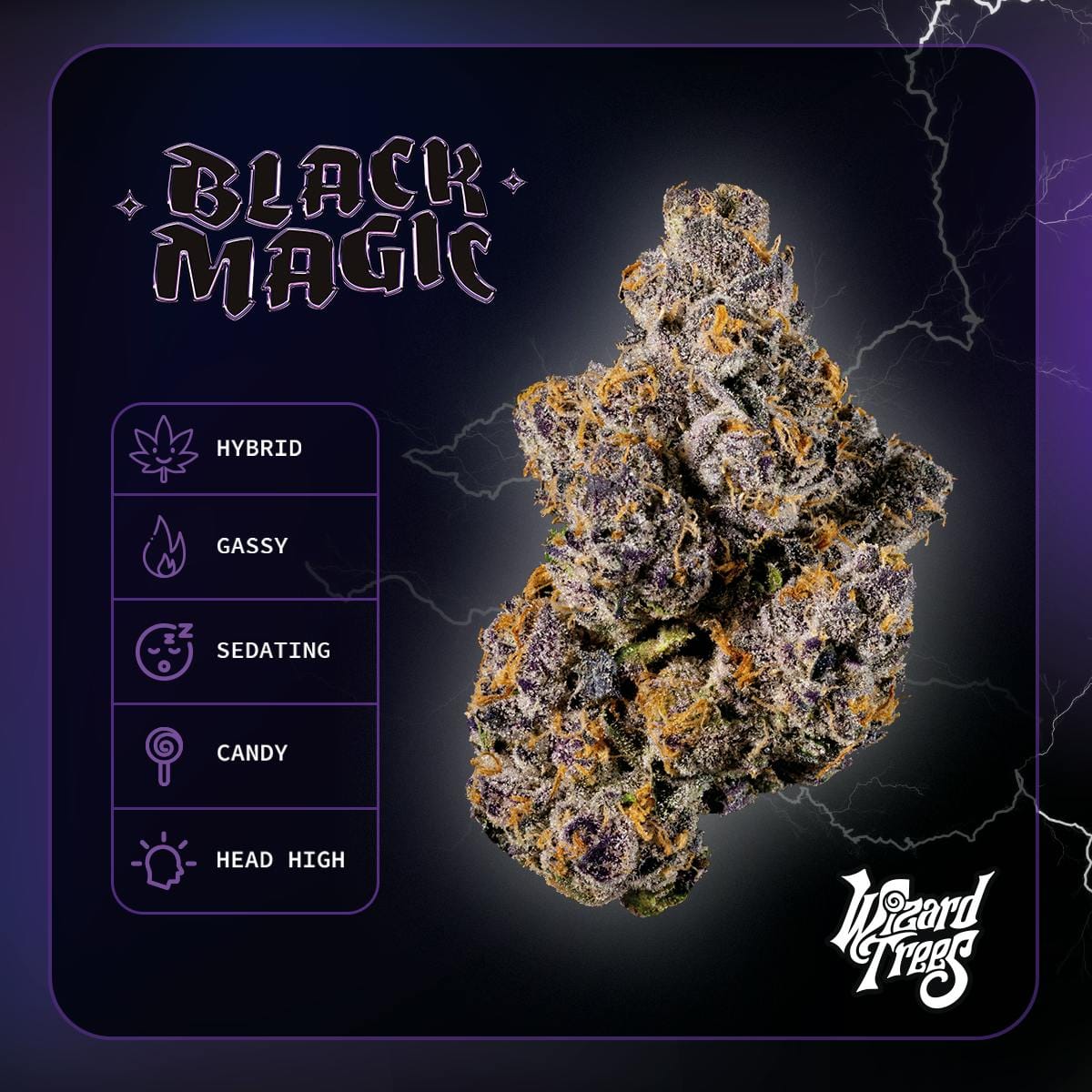 WIZARD TREES: Black Magic
