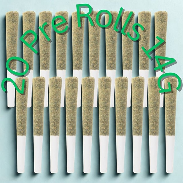 Bud Dynasty - 20 Pack x 0.7g (14g) Pre-rolls - Hybrid - Semilla