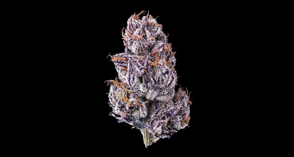 New Money Smalls - Maven Genetics - Half Ounce (Smalls) - $130 - Flowers