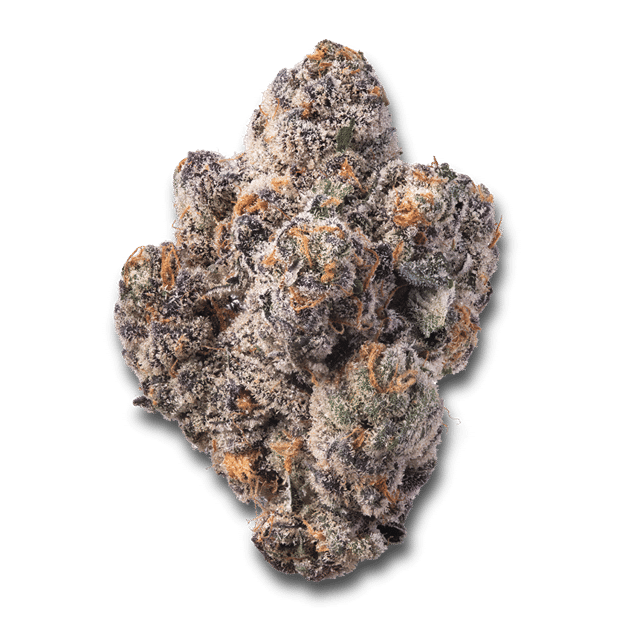 Blue Razzsicle