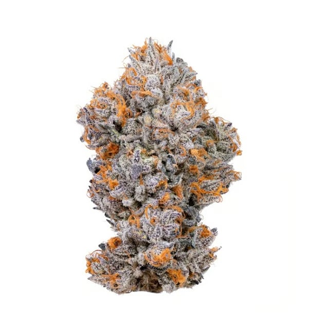 3.5g GASCOTTI Indoor