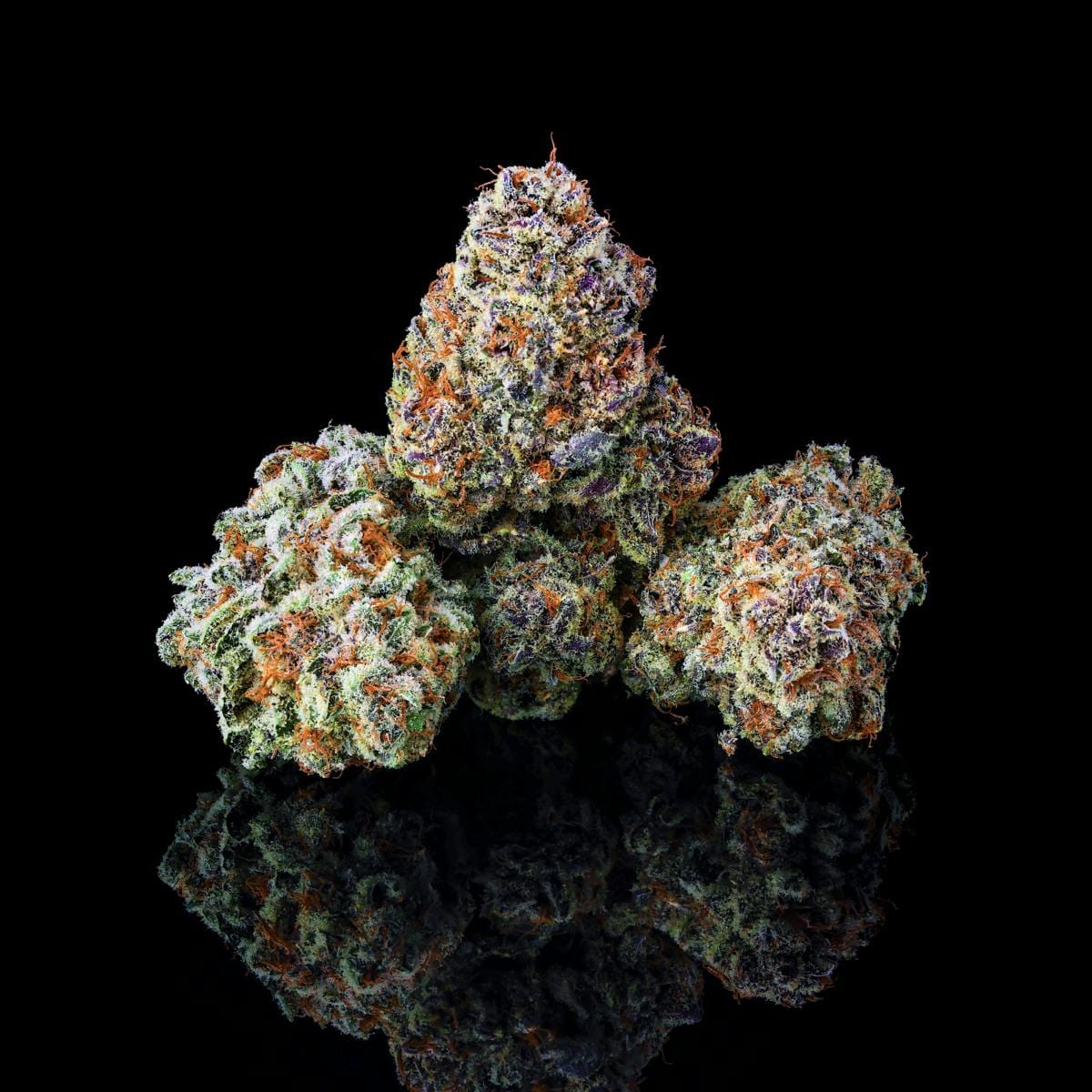 ZuZu Berry Pre-Roll 5-Pack [2.5g] - Maven Genetics -  - $21.61 - Pre-Rolls