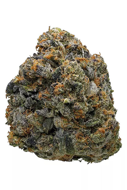 Thin Mint 5g
