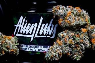 Planetary OG | 10g