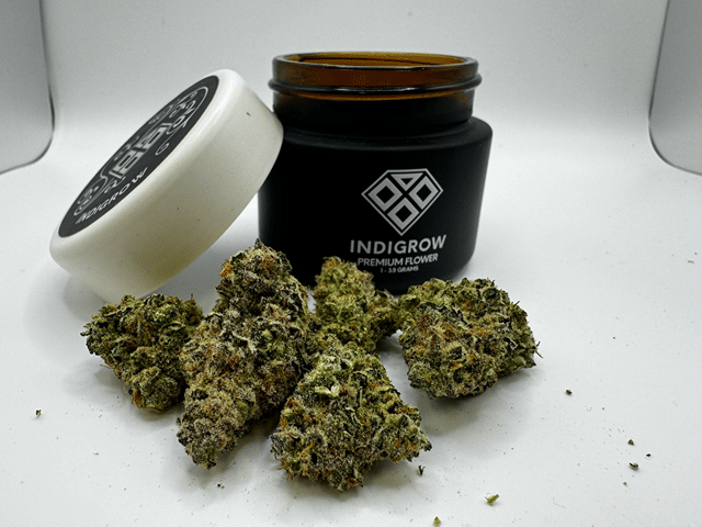 Cinderella 99 Premium Flower