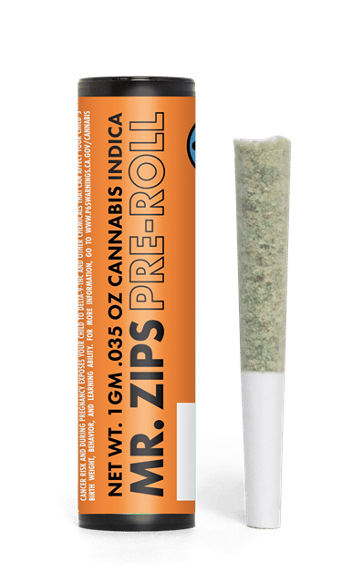 Sunshine Punch | 1g Pre-Roll