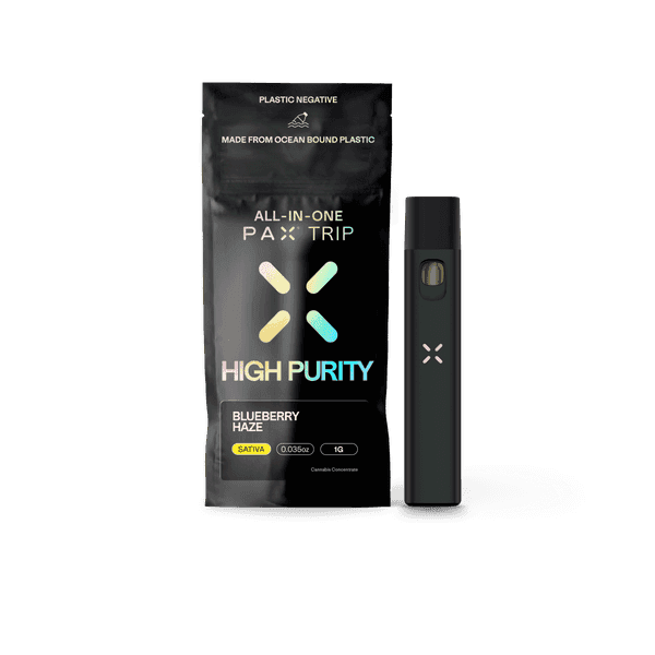 PAX — Blueberry Haze - 1g High Purity Disposable