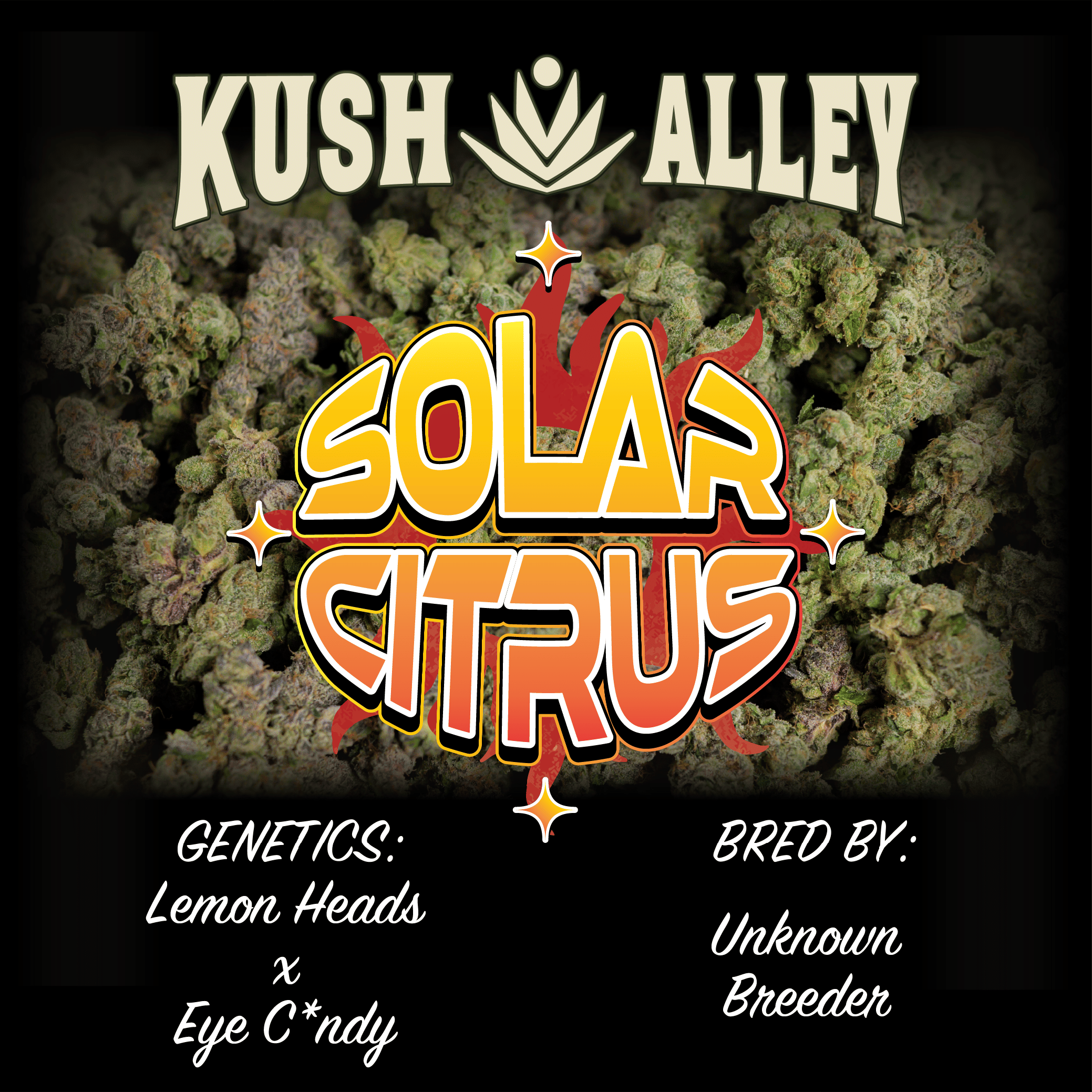 Kush Alley Premium — 4 Grams