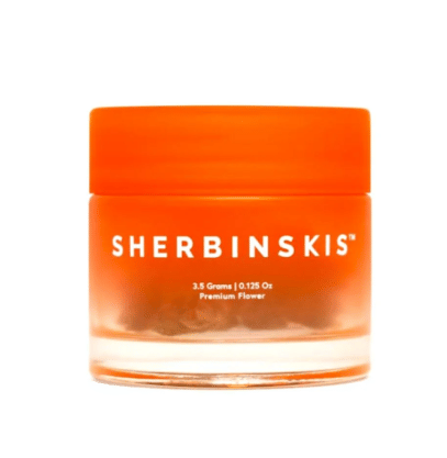 SHERBINSKI — Perm