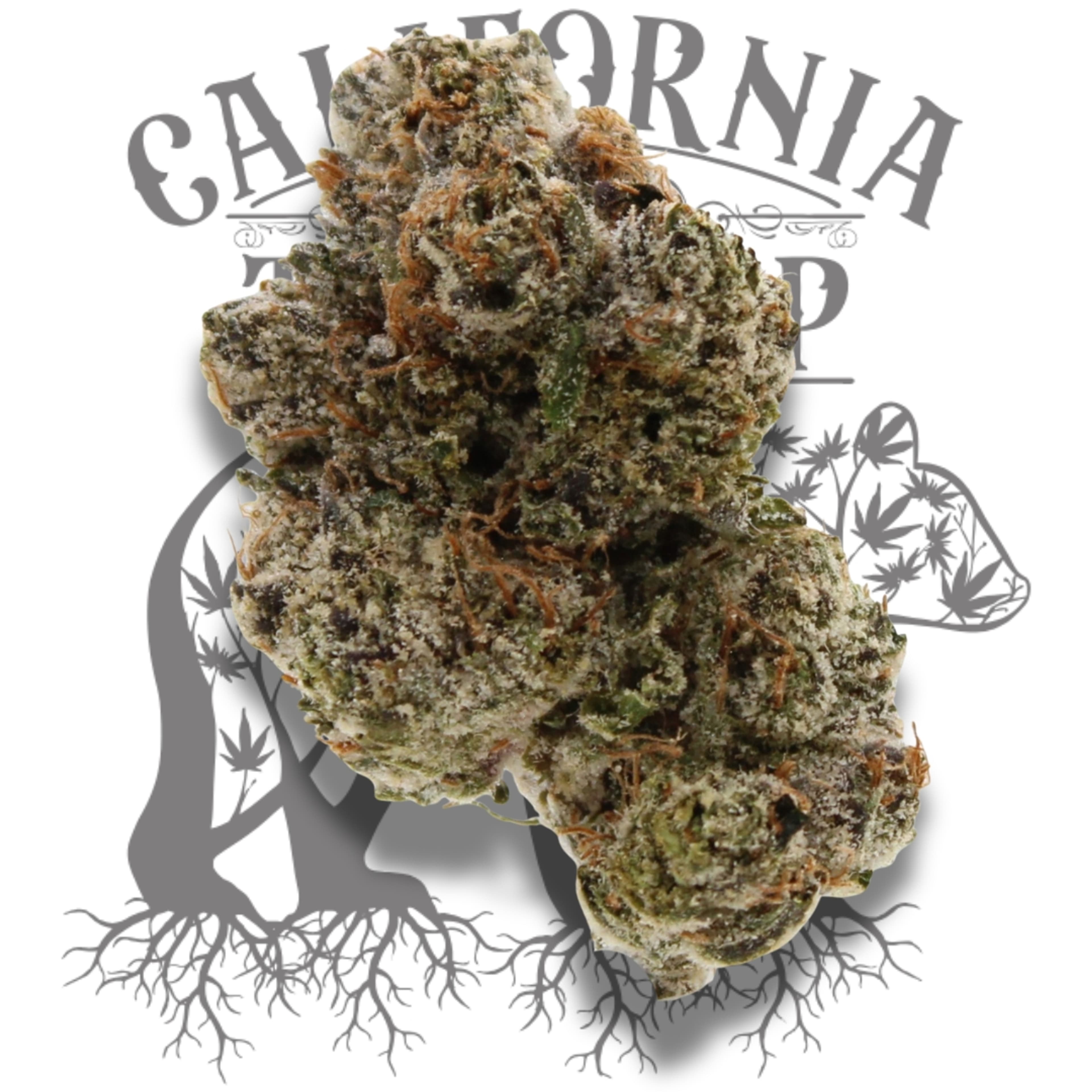 GALACTIC WARHEADS SMALLS 14G - TOP CROP - - $60 - Flowers