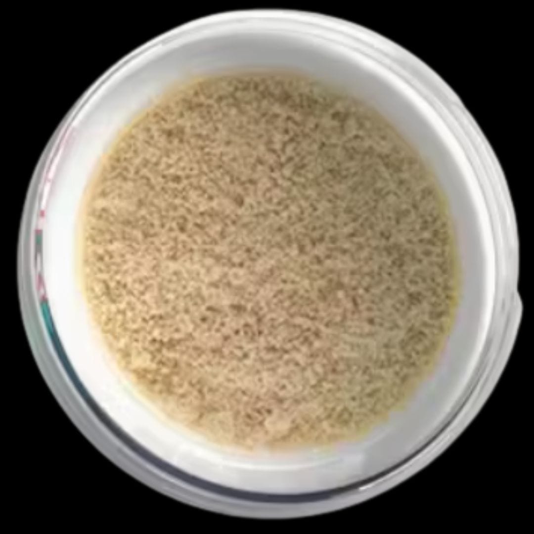 Tutti / Biscotti — Gelonade Bubble