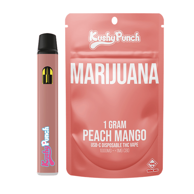 Peach Mango | 1g AIO