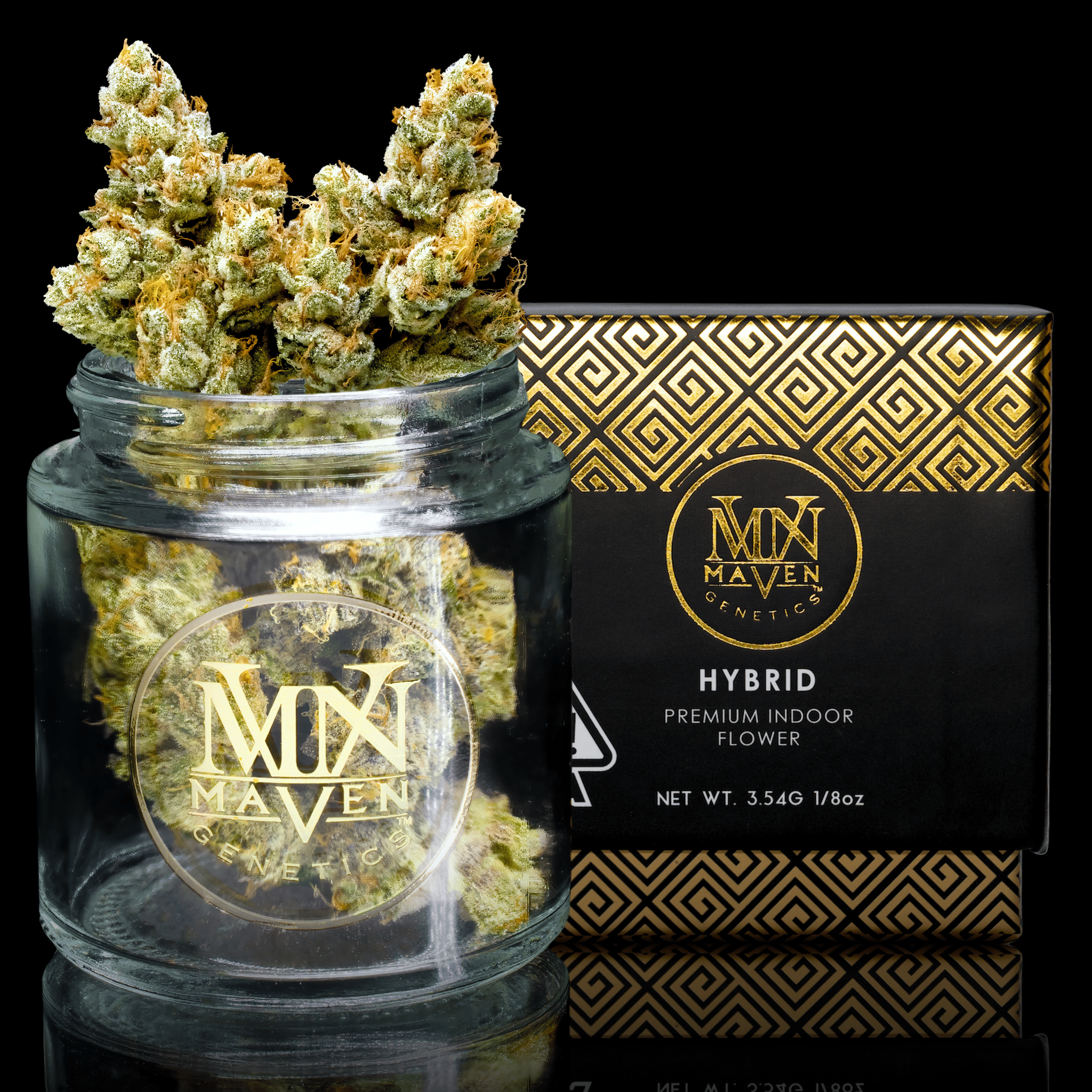 Maven Genetics — SFV OG