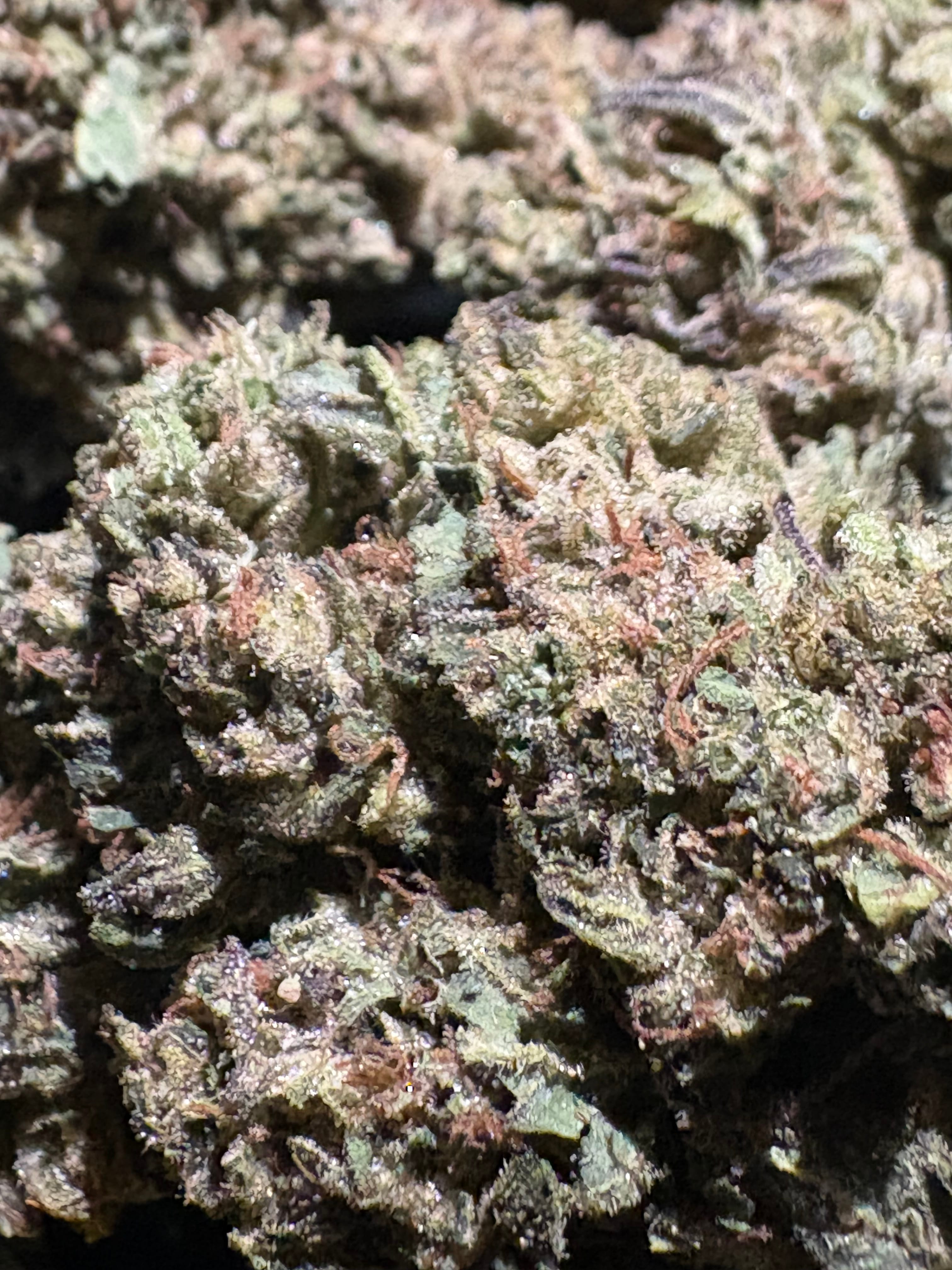 $45 Green Crack 1oz 30% THC (Mid Grade) - Sum Good -  - $45 - Flowers