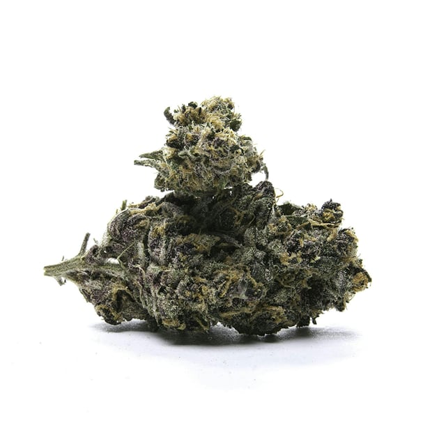 Quiet Kings Flowers - 24 Karatz #13 (7g Indica)
