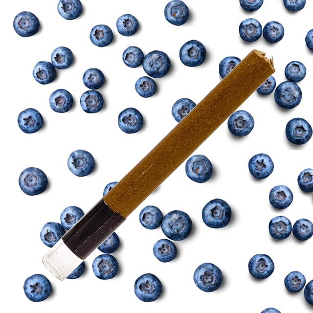 Blueberry 1.5G Blunt (Hemp Paper/Glass Tip)