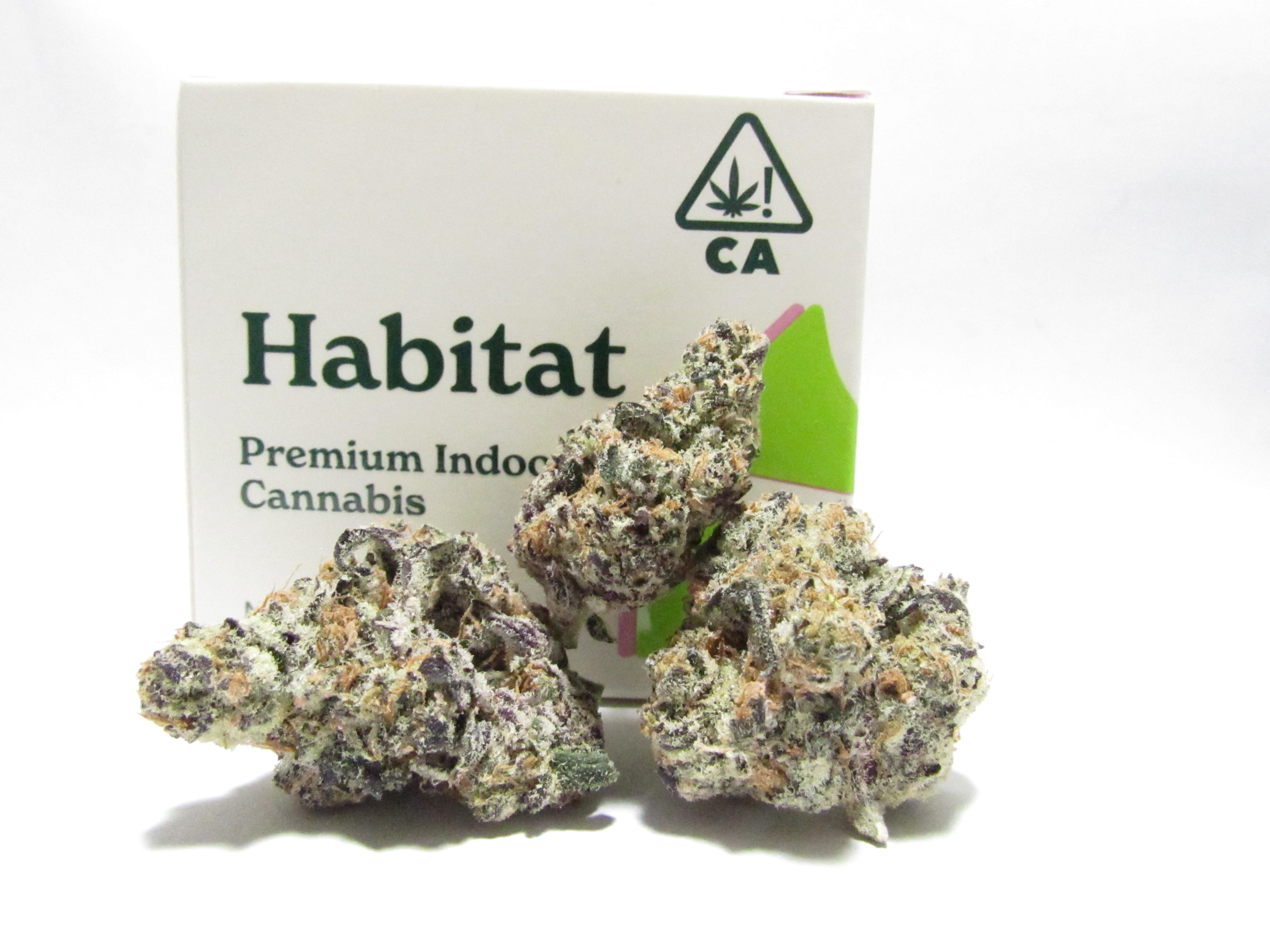 Habitat — Superare