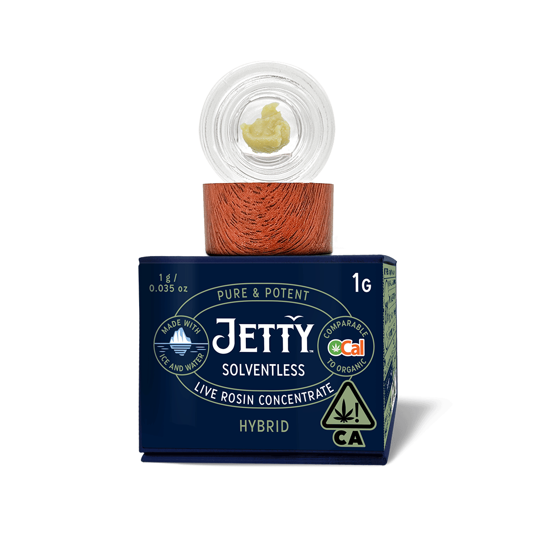 Jetty — Governmint Oasis