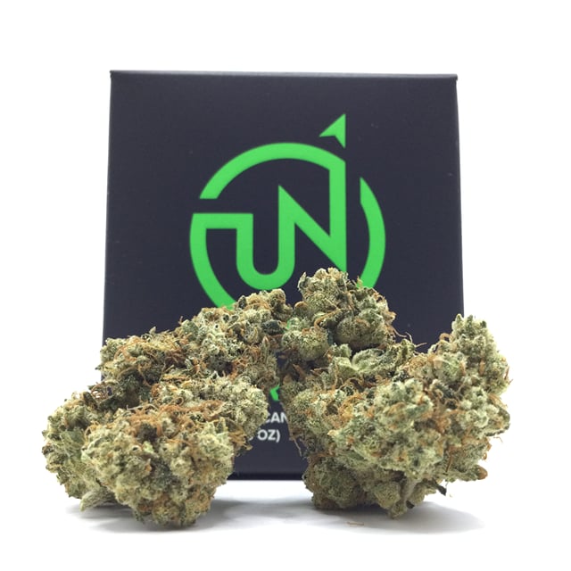 Durban Poison 8th Jar