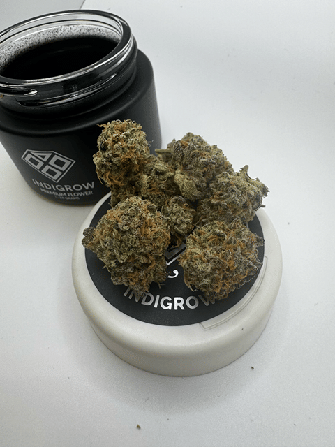 Girl Scout Cookies Premium Flower