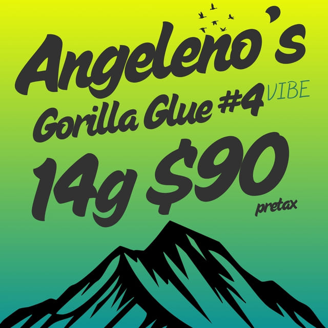 Angeleno's Cult — Gorilla Glue